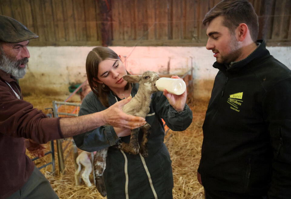 A teacher (L) explains to students how feed a lamb during a lesson at the agri-environmental high school Campus 62: the high school, which also offers numerous adult education courses, in Tilloy-les-Mofflaines, bordering with Arras, northeastern France, on January 29, 2024. (Photo by FRANCOIS LO PRESTI / AFP)