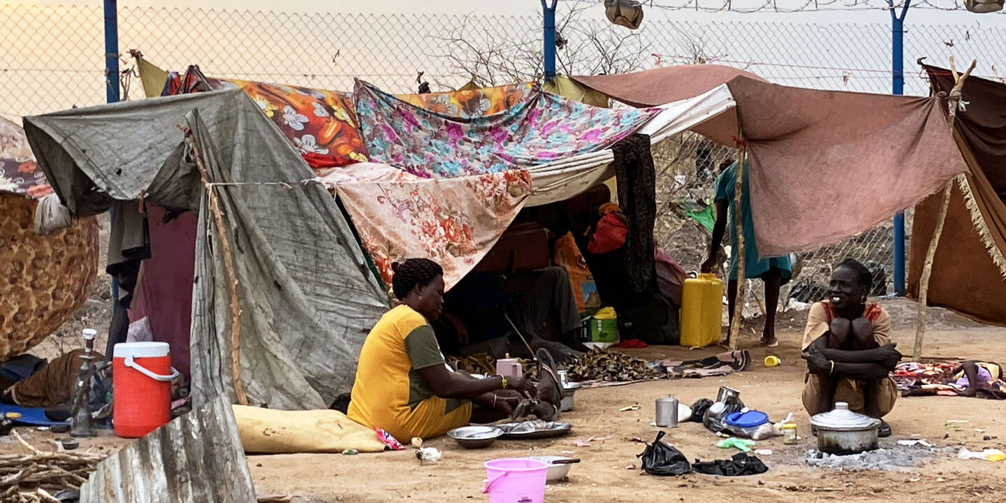 Harlem Désir et Eatizaz Yousif :  La mobilisation internationale pour le Soudan est une obligation morale pour prévenir une famine de masse 