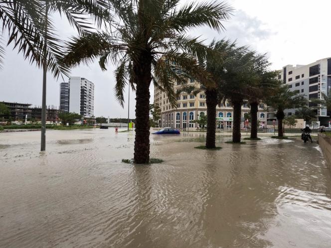 Images Le Monde.fr