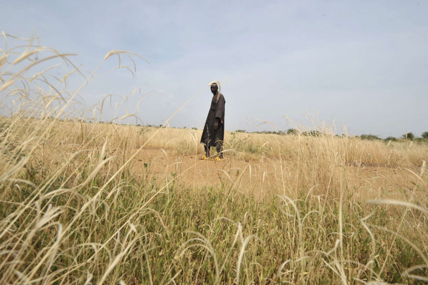 Au Sahel, la vague de chaleur extrême est bien due au changement climatique