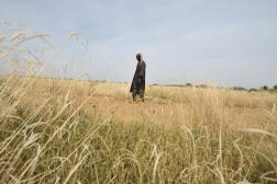 Près du village de Selbo, dans le nord du Burkina Faso, en octobre 2009.