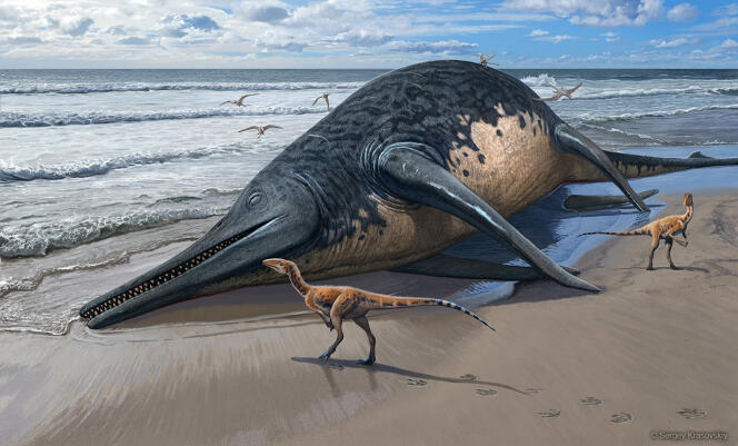 La carcasse d’un ichtyosaure, « Ichthyotitan severnensis », échouée sur la plage. Vue d’artiste.