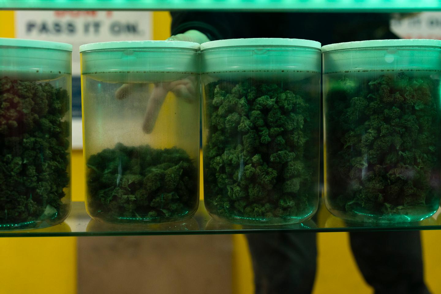 米政府、大麻を危険性の低い薬物に分類へ