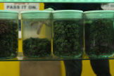 Dans un magasin vendant du cannabis, à Portland (Oregon), aux Etats-Unis, le 19 avril 2024.
