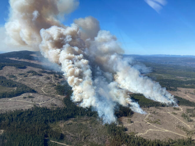 De la fumée s’élève du feu de forêt de Burgess Creek, en Colombie-Britannique, au Canada, sur une photo diffusée le 20 avril 2024.