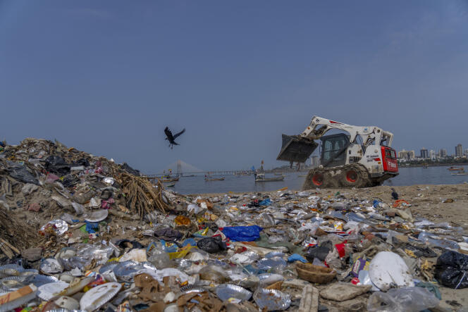 Sur la plage de Mahim, sur la côte de la mer d’Arabie, à Bombay, en Inde, le 22 avril 2024.