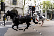 Two horses on the loose bolt through the streets of London near Aldwych, on Wednesday April 24, 2024. 