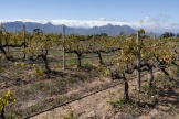 Vue aérienne du vignoble Reyneke, près de Stellenbosch (Afrique du Sud), le 5 avril 2024.