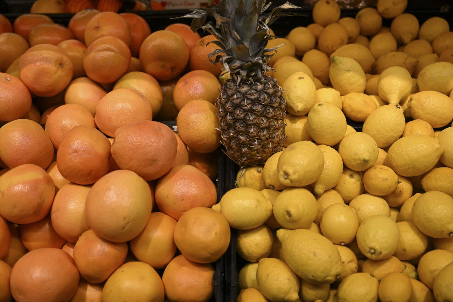 « Sur les marchés mondiaux, le cours du pomelo est vitaminé »