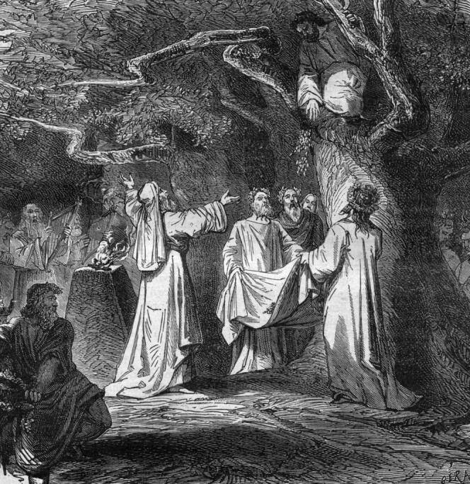 La cueillette du gui par les druides en Gaule. Gravure anonyme du XIXe siècle.