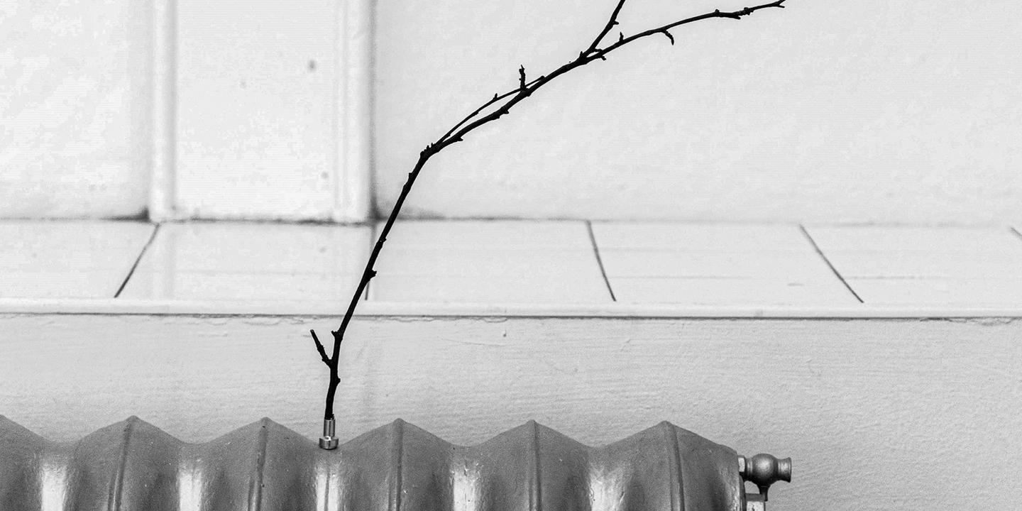 « Correspondances » : Tim Ingold tisse des liens avec la nature