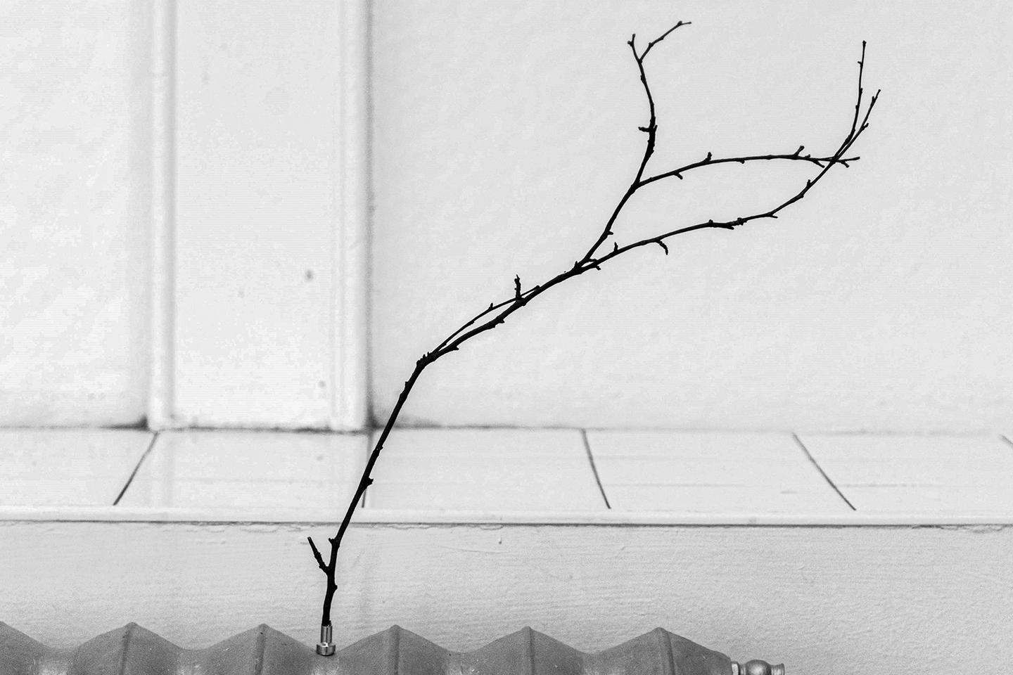 « Correspondances » : Tim Ingold tisse des liens avec la nature