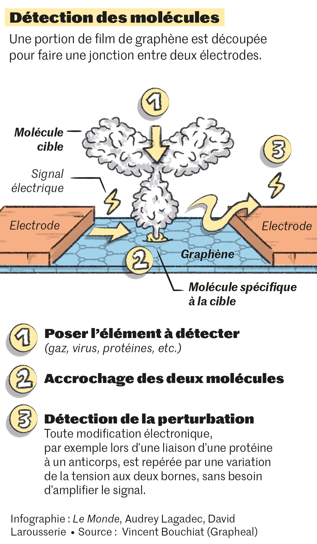 Graphene 360+ Radical Pro (2021) Raquette de compétition non cordée