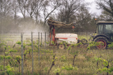 Un tracteur réalise un traitement phytosanitaire dans ses vignes, dans le sud de la France, le 5 avril 2024.