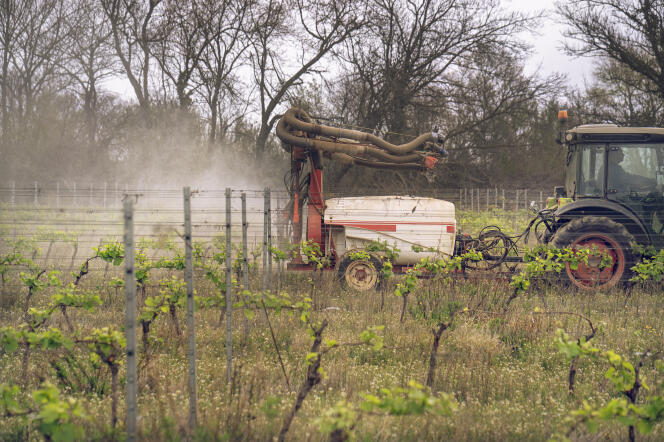 Un viticulteur réalise un traitement phytosanitaire de ses vignes, dans le sud de la France, le 5 avril 2024.