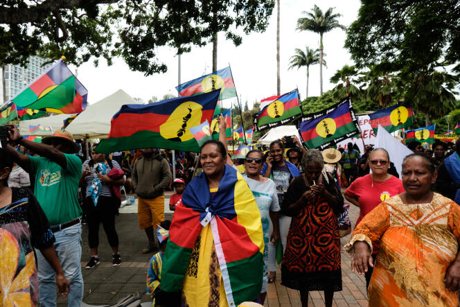 2024 年 4 月 13 日，努美阿，示威者在反对新喀里多尼亚下一届省级选举扩大选民人数的示威活动中挥舞着卡纳克和社会主义民族解放阵线的旗帜。