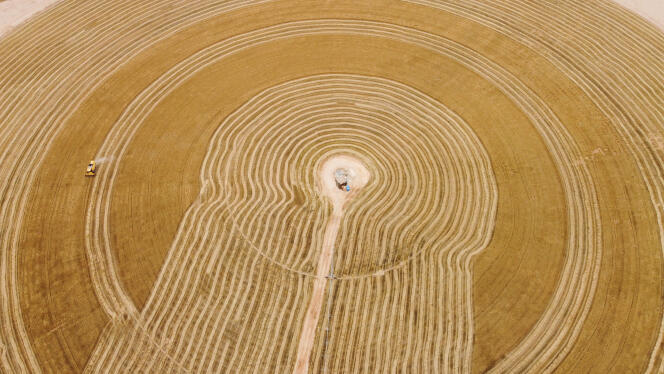 A combine harvests wheat in the Najaf region of Iraq on April 30, 2024. Production has increased thanks to improved irrigation systems and increased rainfall.