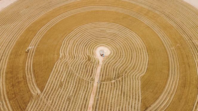 A combine harvests wheat in the Najaf region of Iraq on April 30, 2024. Production has increased thanks to improved irrigation systems and increased rainfall.