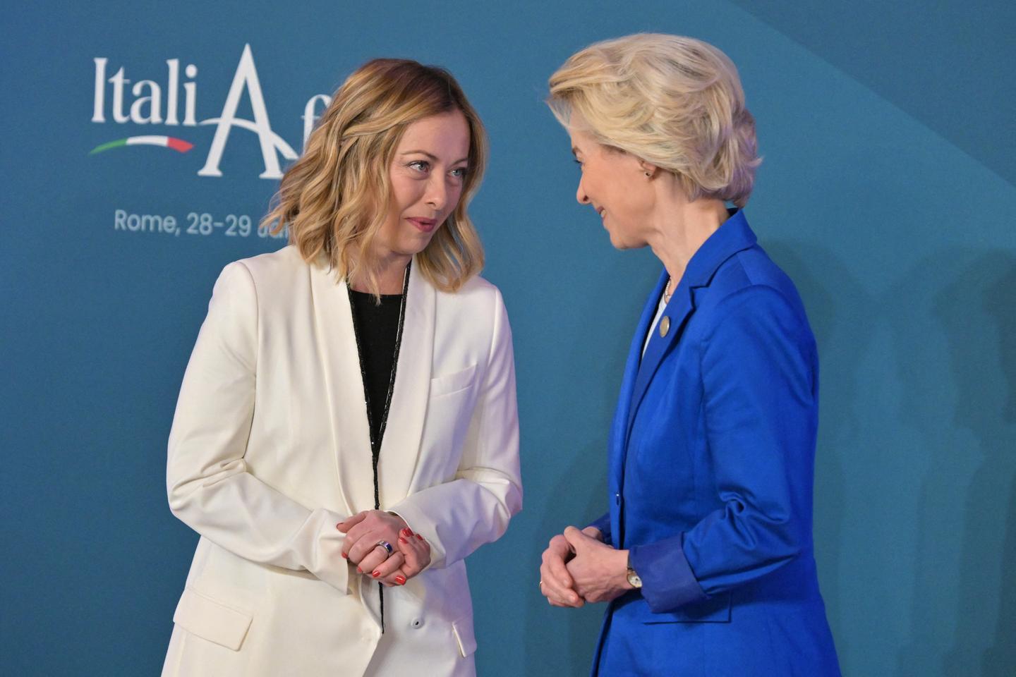 EU elections: Europe's heterogenous far right in 13 profiles