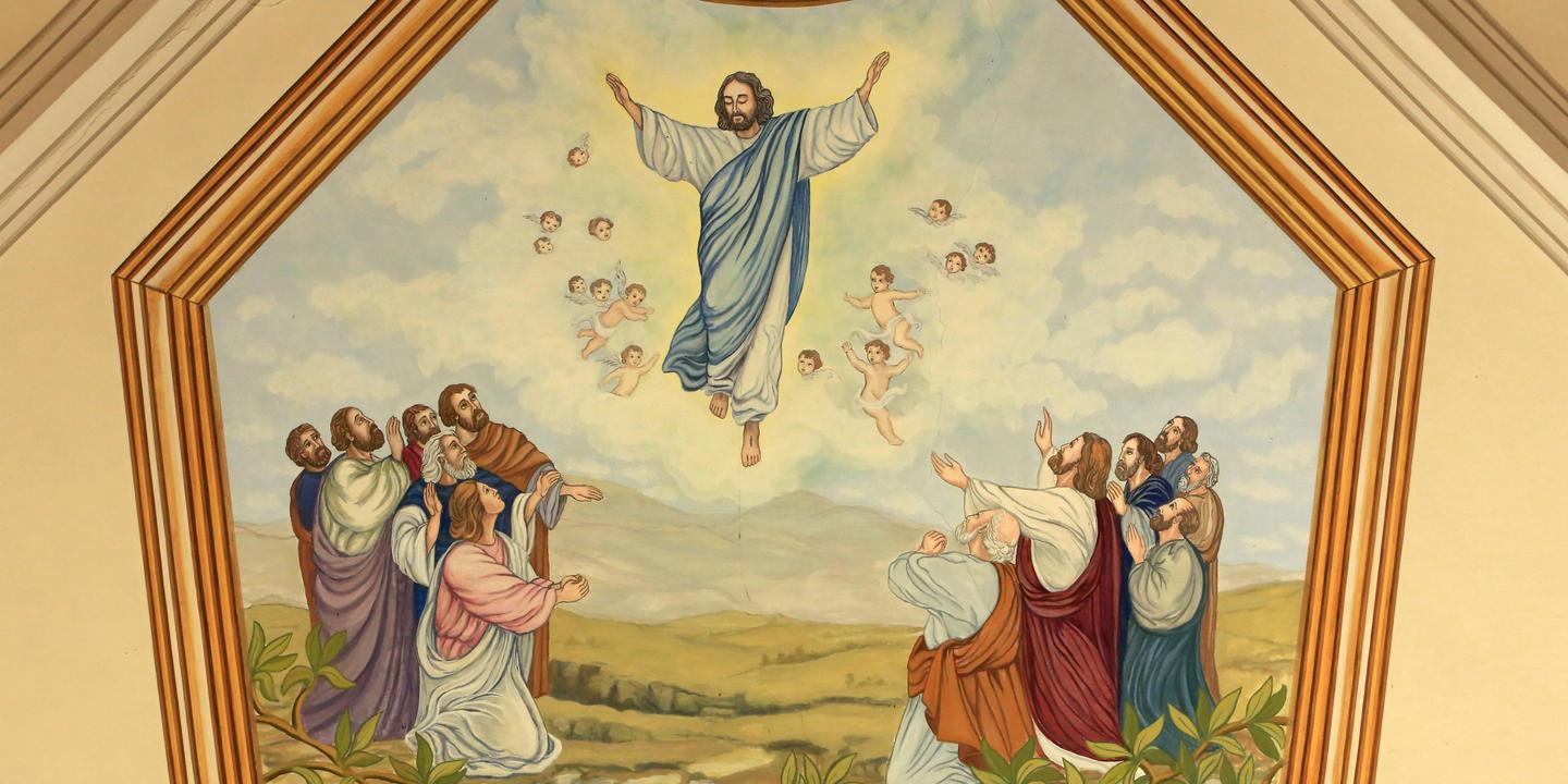 https://img.lemde.fr/2024/05/07/472/0/5672/2836/1440/720/60/0/c101e87_1715094056338-hemis-fd51j9.jpg