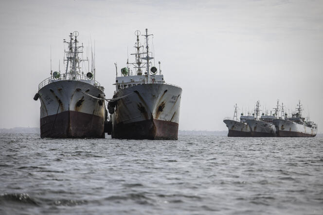 Des navires de pêche dans la baie de Hann, à Dakar, le 27 septembre 2023.