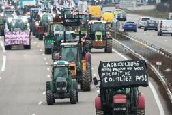 Lors d’une manifestation d’agriculteurs, sur l’autoroute, près de Strasbourg, le 30 janvier 2024.