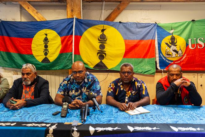 Nouvelle-Calédonie : la CCAT, organisation indépendantiste au cœur de la mobilisation et de toutes les critiques