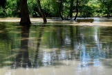 Dans une zone inondée près de la rivière allemande Nied à Crehange, dans le nord-est de la France, le 18 mai 2024.