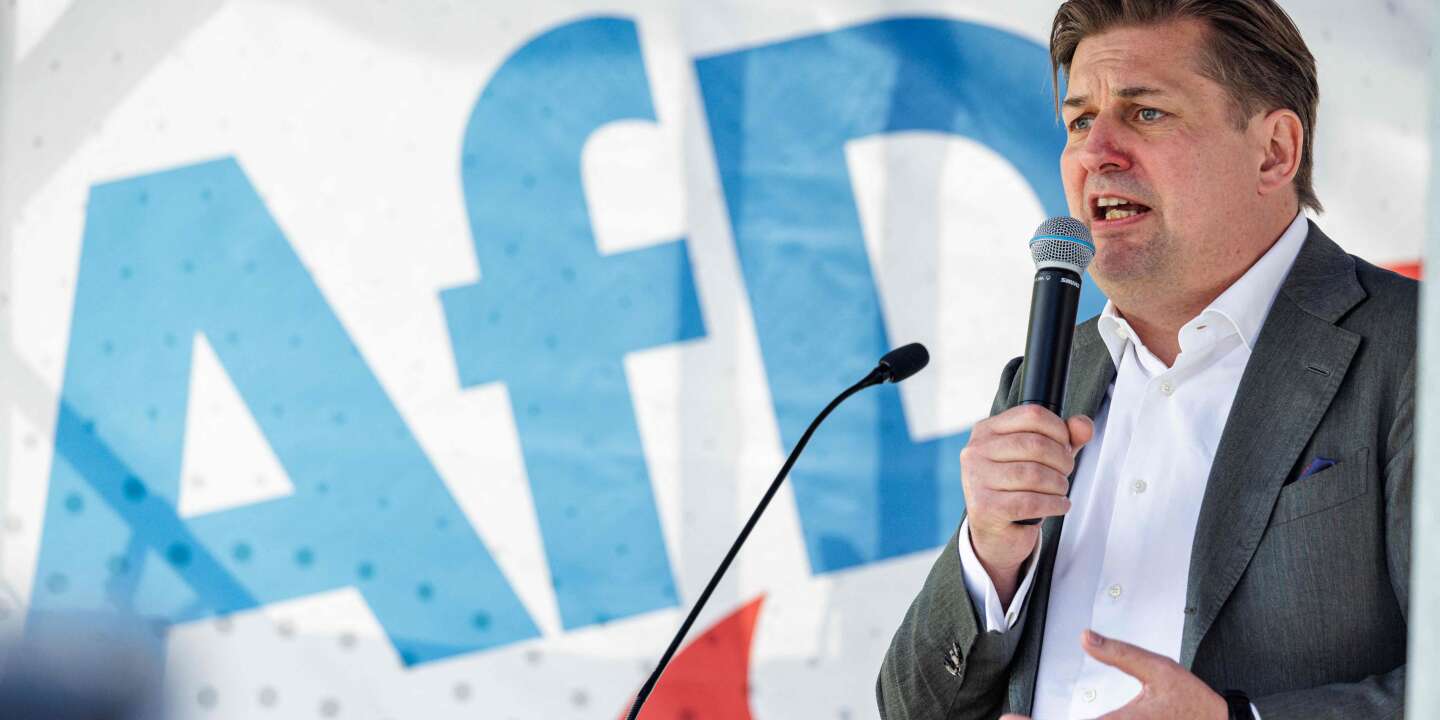 Il partito di estrema destra Alternativa per la Germania (AfD) è stato escluso dal gruppo identitario del Parlamento europeo