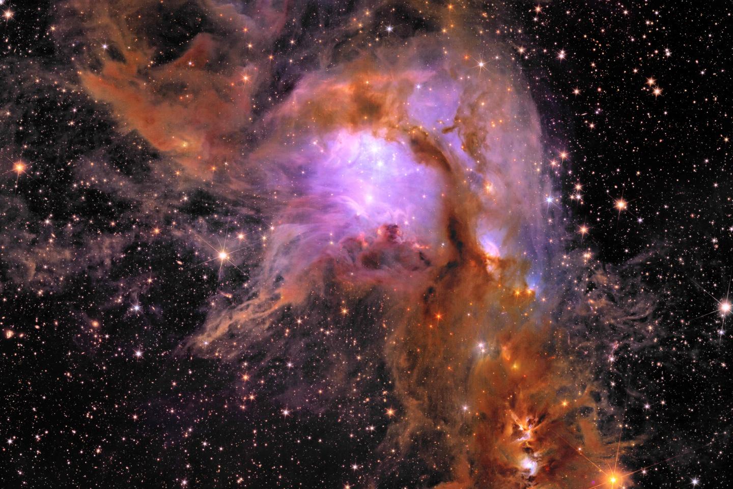 Euclid space telescope's latest images revealed