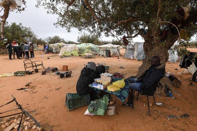 Des migrants réfugiés au milieu des oliviers du « camp » de Jebeniana, près de la ville côtière de Sfax, en Tunisie, le 24 avril 2024.