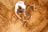 Dans l’Indre, une stupéfiante série de tombes de chevaux de l’époque gauloise