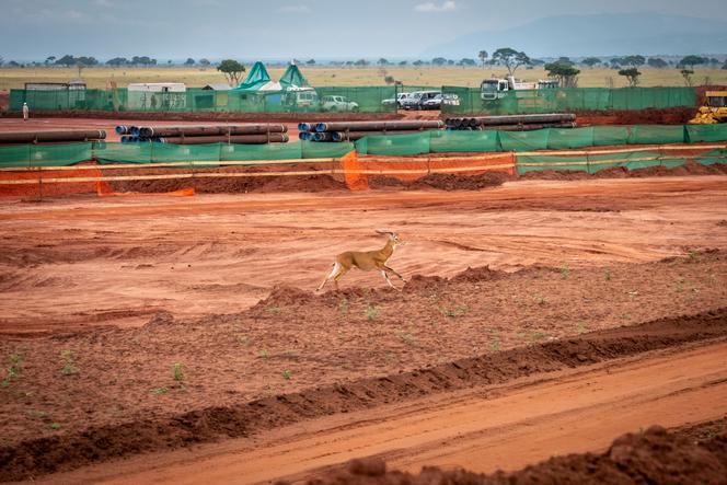 Un site de forage TotalEnergies situé dans le parc national des Murchison Falls (Ouganda), en juillet 2022.