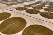 Des cultures irriguées de blé, dans le désert près de Karbala, en Irak, le 15 mai 2024. 