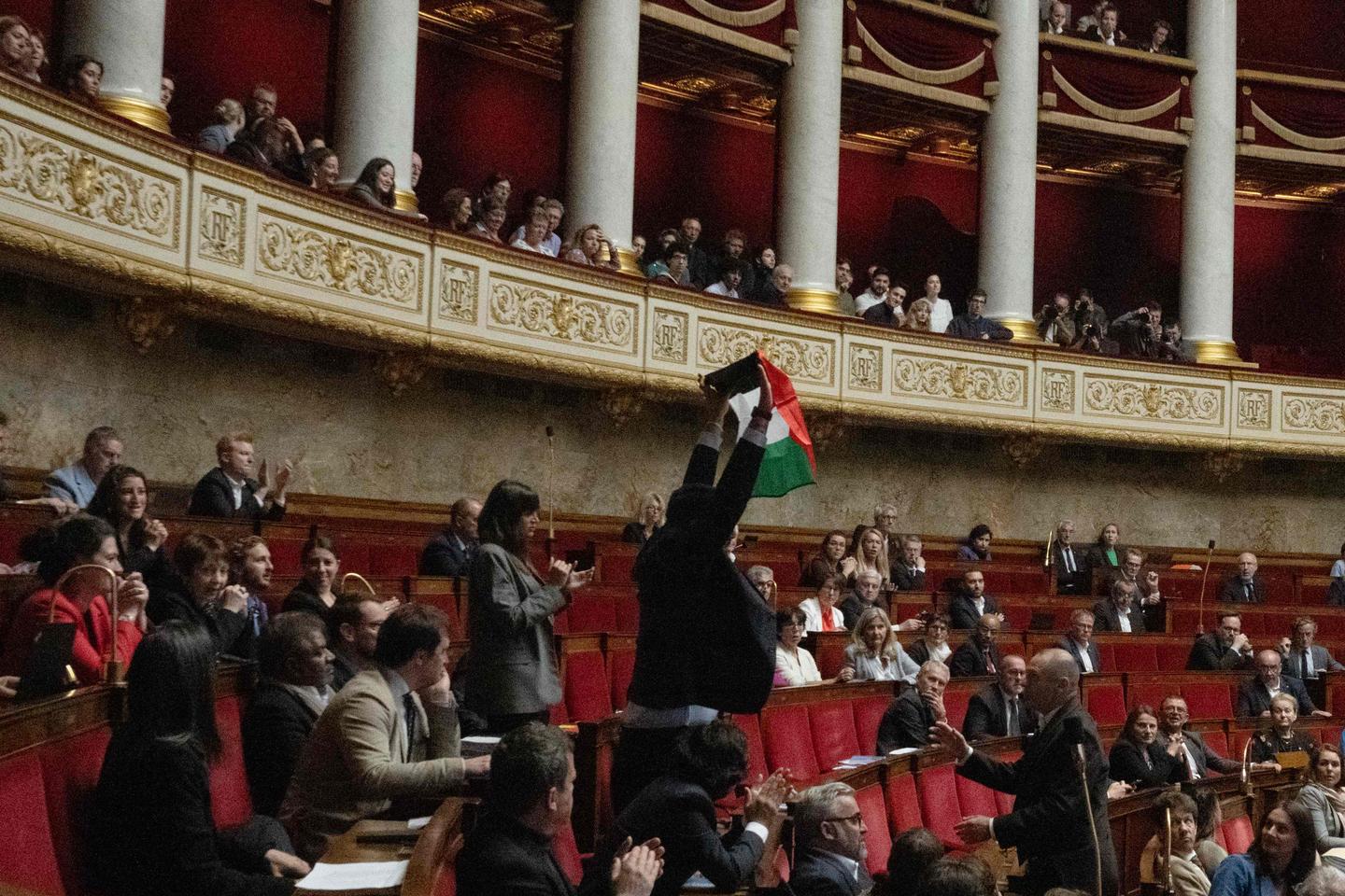 Left-wing French lawmaker suspended for waving Palestinian flag