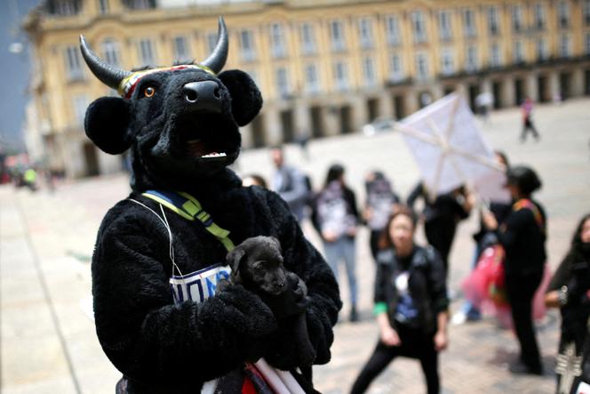 Images Le Monde.fr