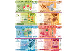 Des billets de francs Pacifique.