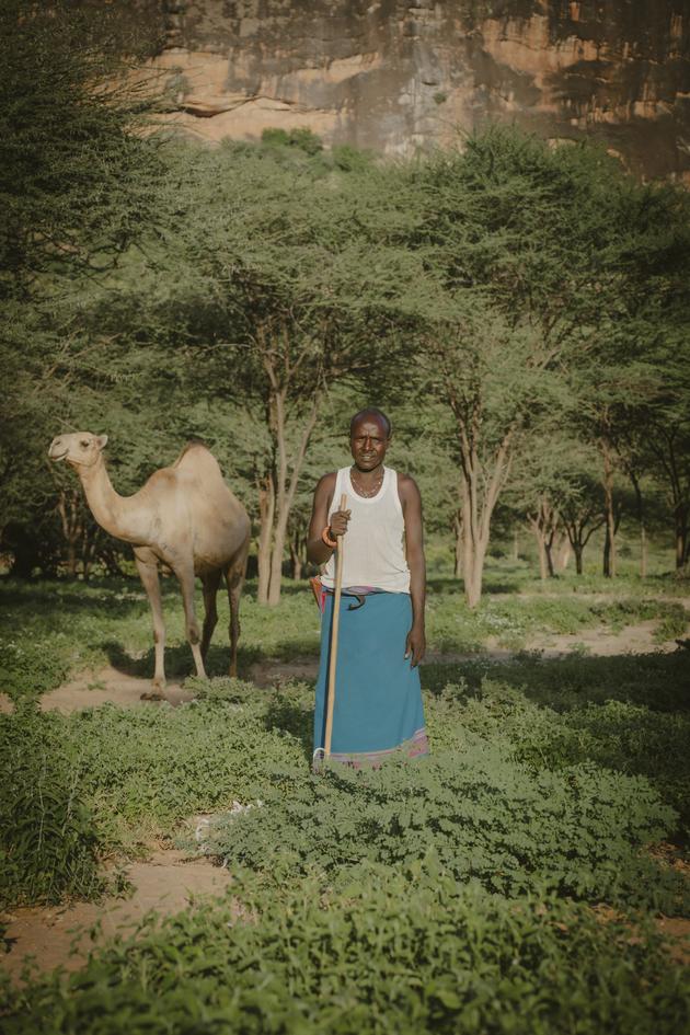 Lkaraiko Lemalinga received a camel from the Samburu County government after losing a large portion of his livestock during the previous drought. In Ngurunit (Kenya), on May 14, 2024.