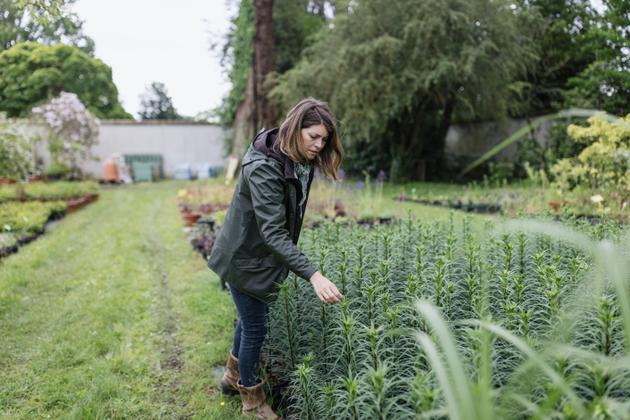 Gardener Elena Secondo brings blooms to Versailles | WN24 1 Elena in the nursery at the Château de Versailles.