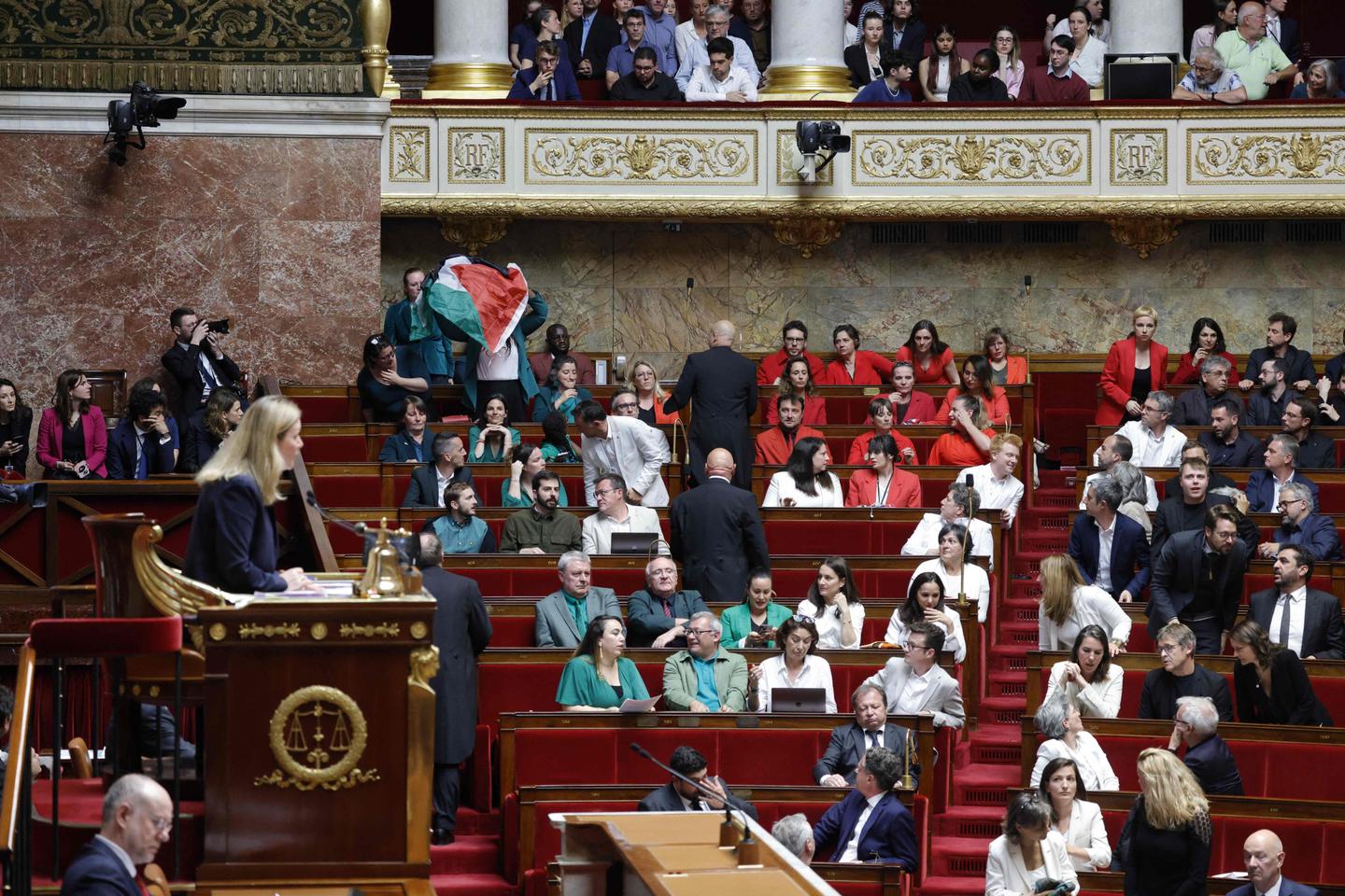 French parliament once again in uproar over Palestinian flag