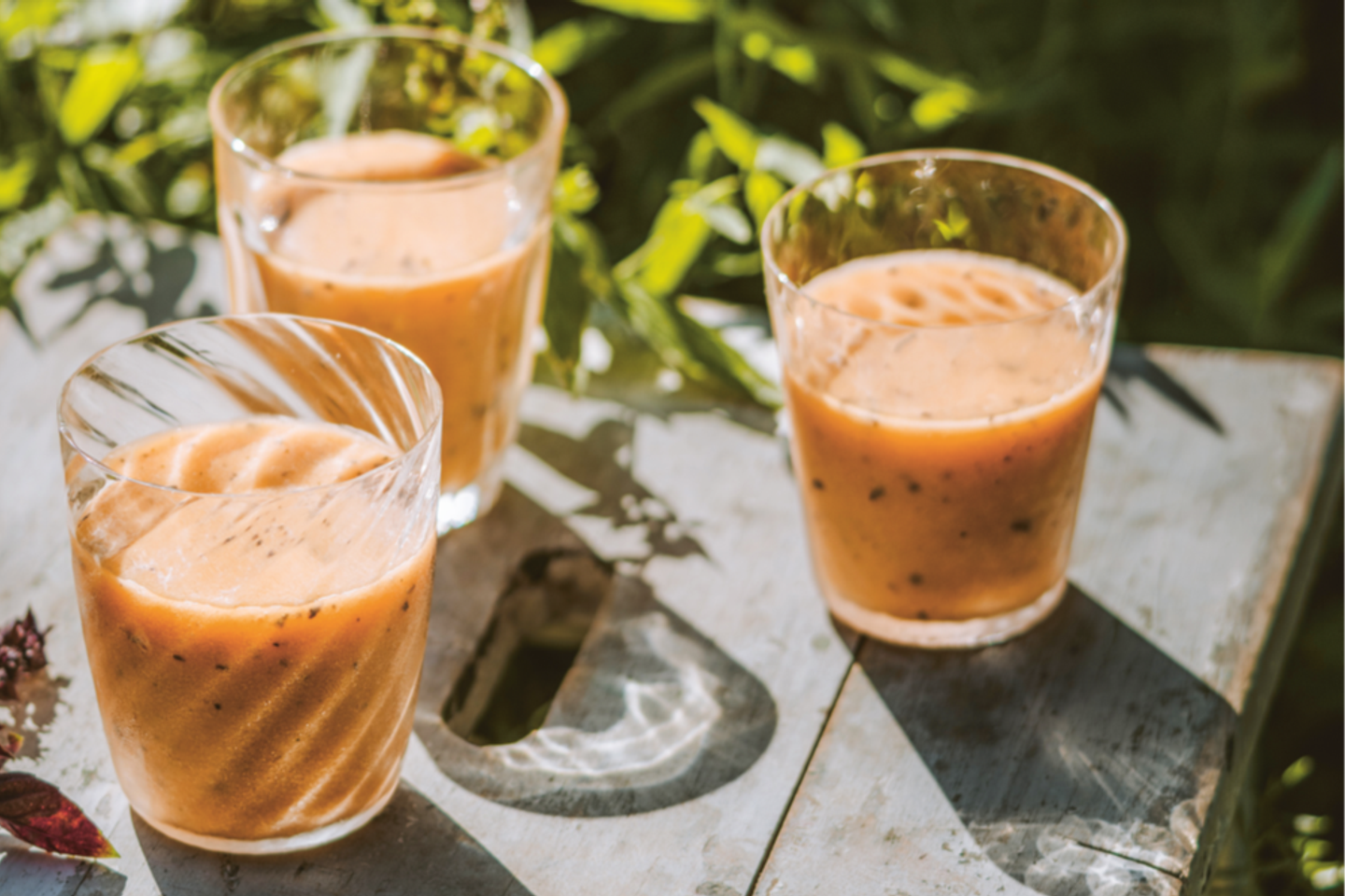 Trois recettes végétariennes pour un pique-nique