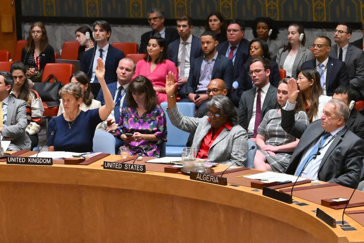 UN Security Council votes for US-drafted Gaza ceasefire resolution