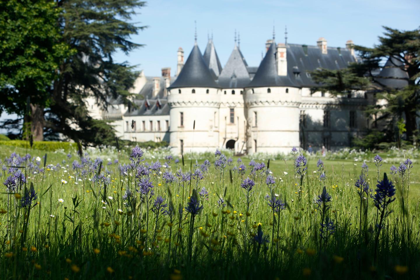 Regarder la vidéo A l’approche de l’été, cinq festivals de jardins