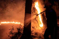 Un pompier s’attaque aux flammes d’un incendie de forêt près de Vidauban (Var), le 11 juin 2024.