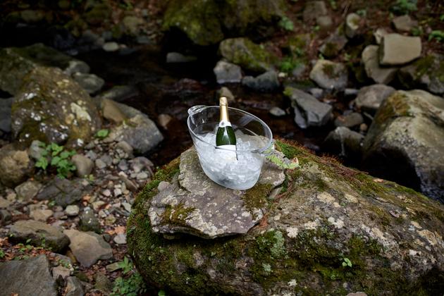 Could the French be falling for sake? | WN24 2 The sparkling sake launched by Noriyoshi Nagai, who chose this wilderness setting to taste it, in a pine forest overlooking the brewery, on May 15, 2024.