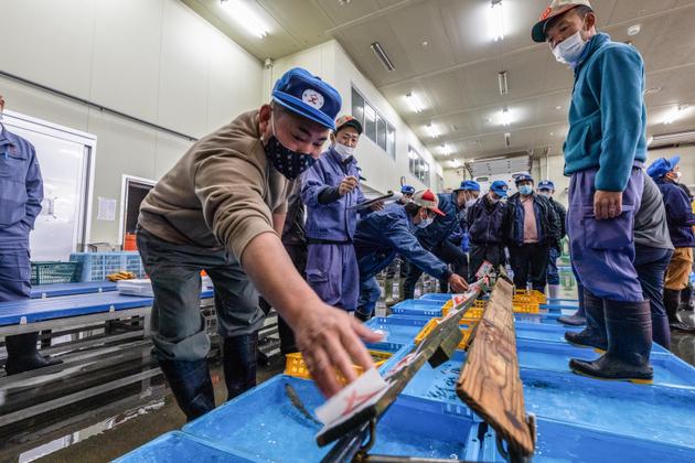 The shop of fishmonger Naoki Maeda (left), Yaizu, Japan, 2021.