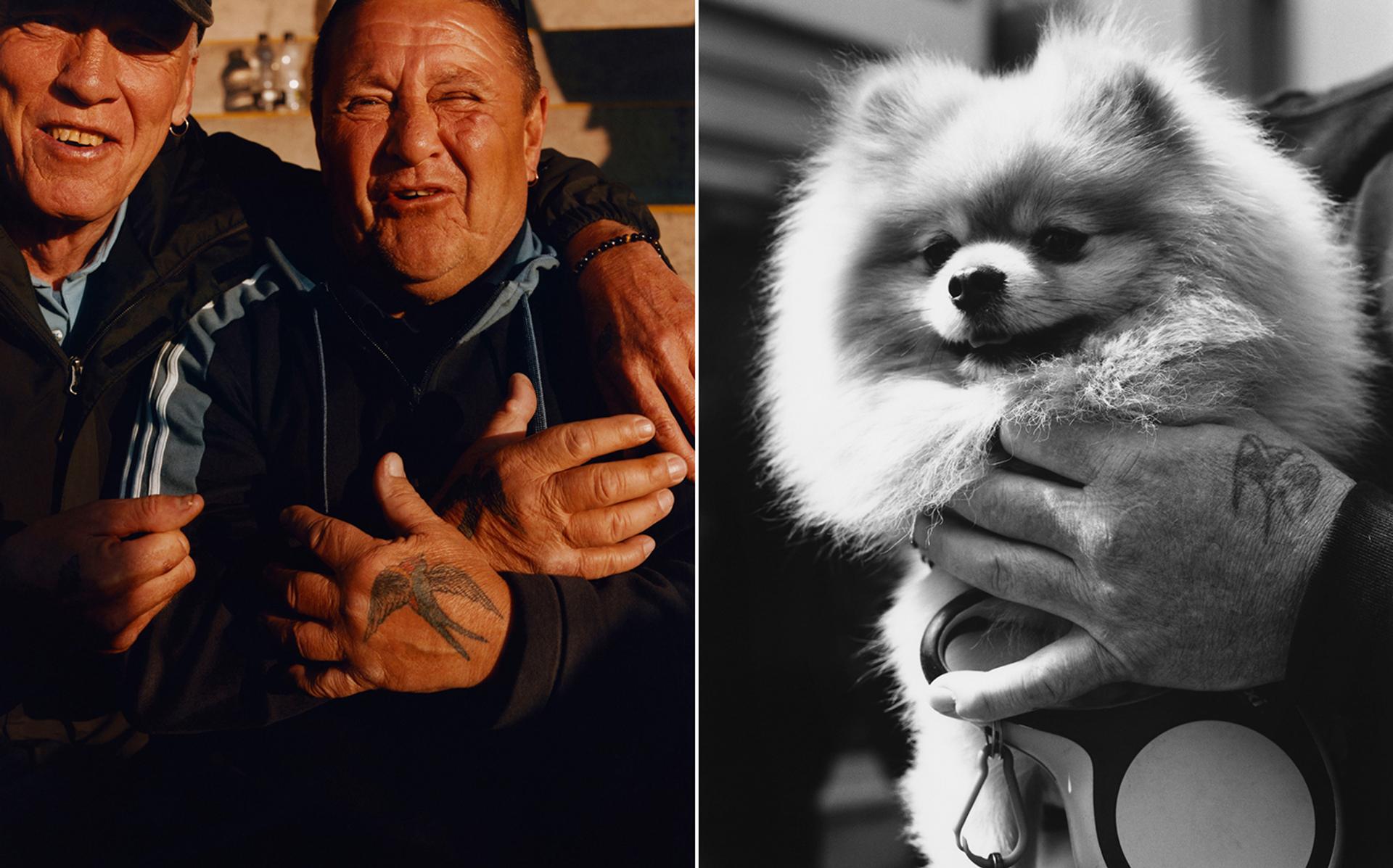 Left, Jim and Ian at Windsor Racecourse. Right, a Pomeranian at Whitby.