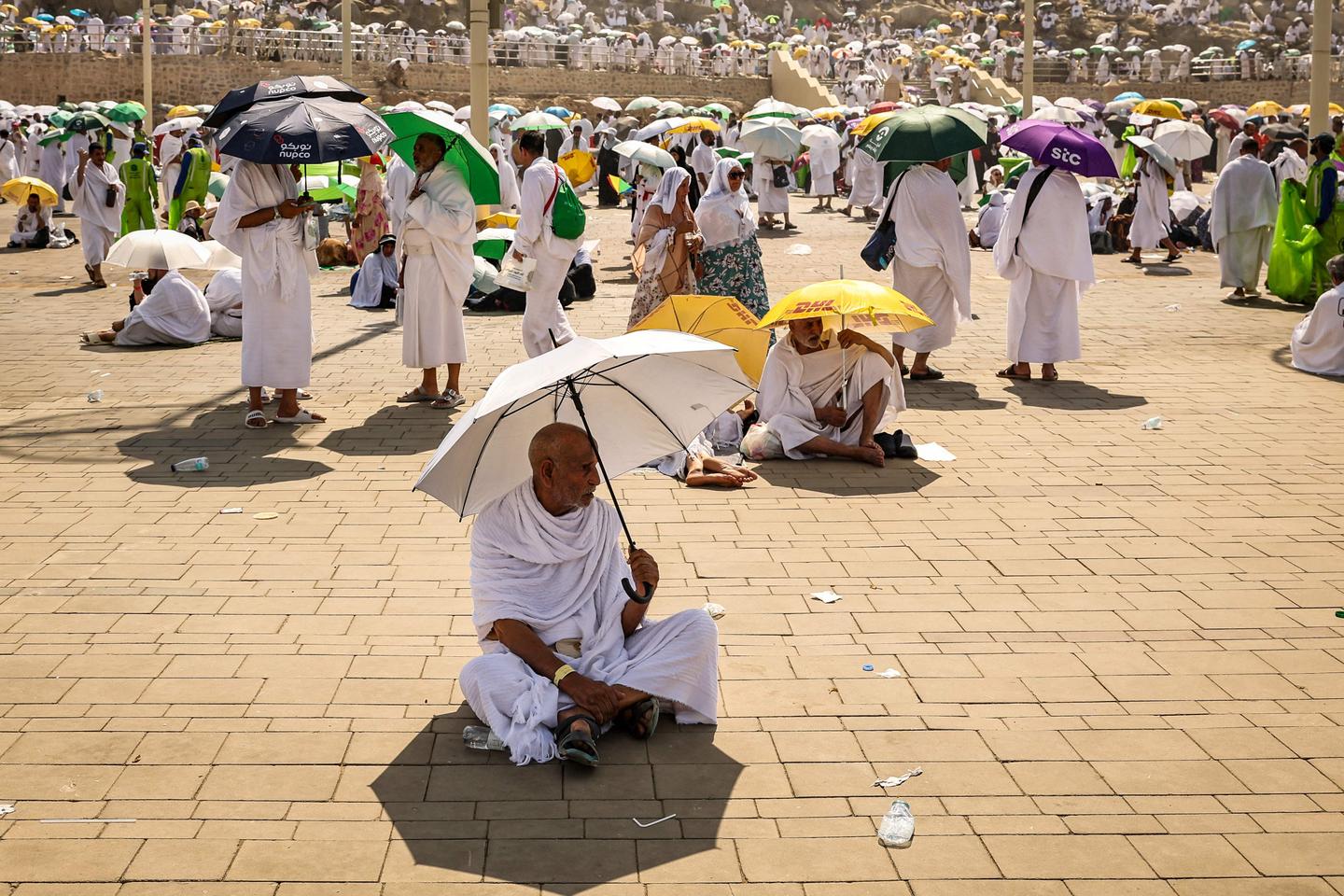 Egypt to prosecute travel agents for 'fraudulent' facilitation of hajj pilgrimage