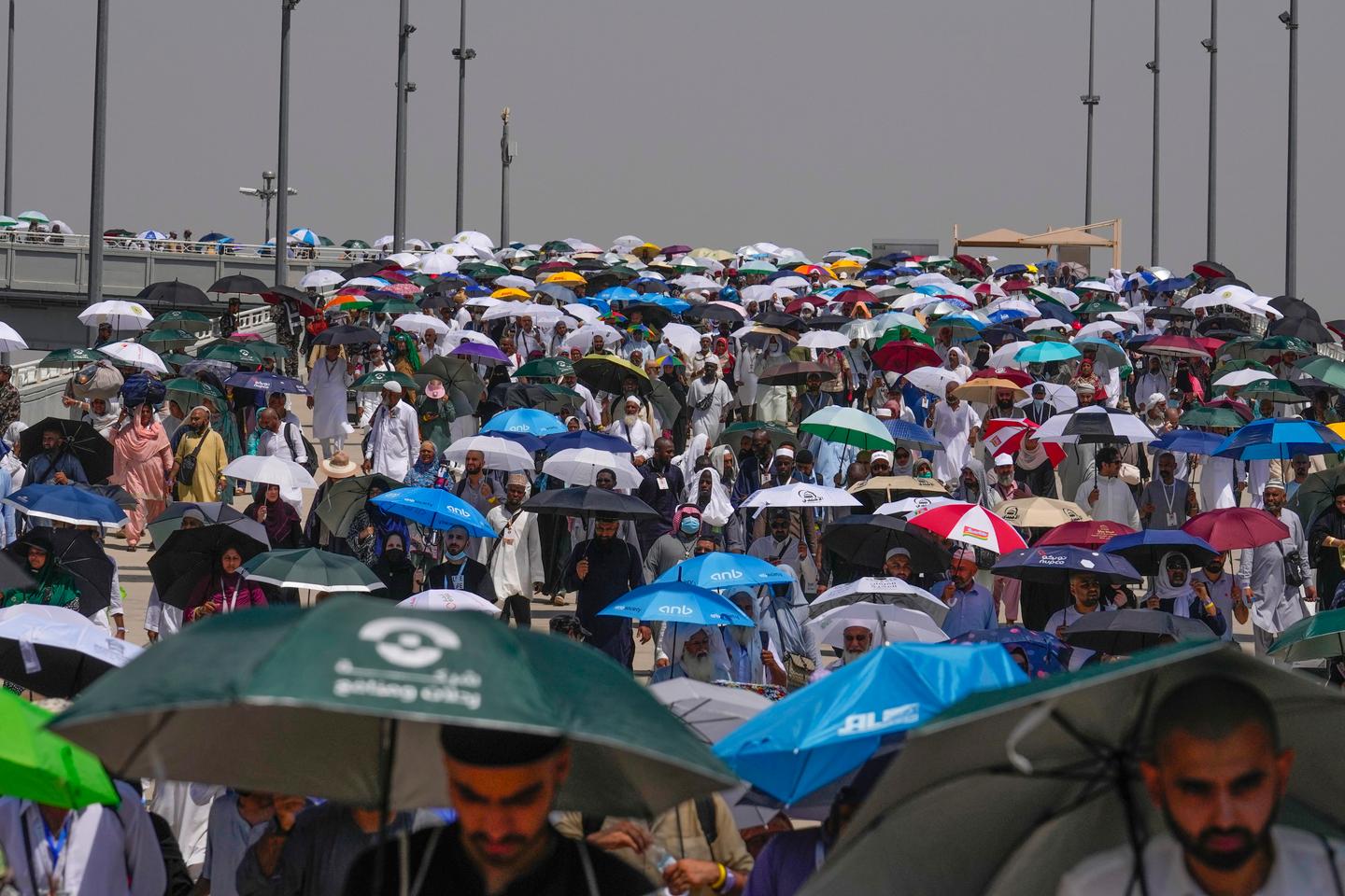 Saudi says 1,301 died during intense heat at Hajj pilgrimage