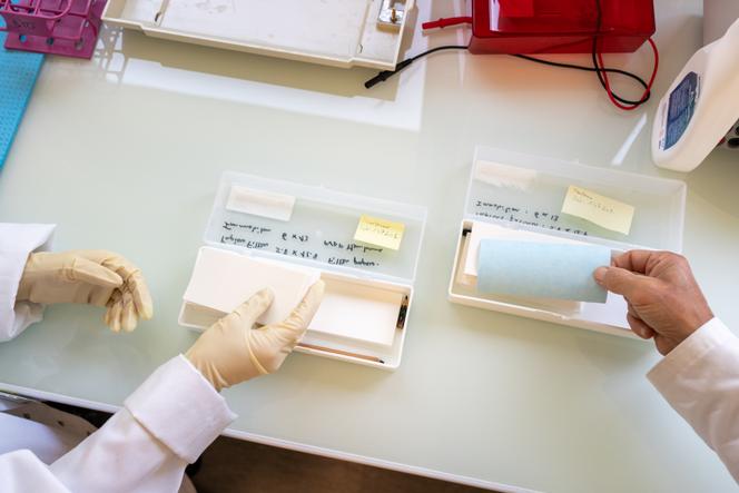 The Saclay laboratory gets ready for the Paris Olympics | WN24 3 'Membranes' that facilitate the transfer of erythropoietin (EPO) test findings prior to camera verification. Orsay (Essonne), June 24, 2024.